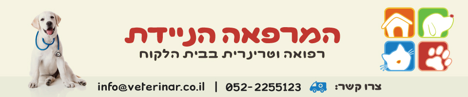 המרפאה הניידת , וטרינר עד הבית , וטרינר ביקור בית